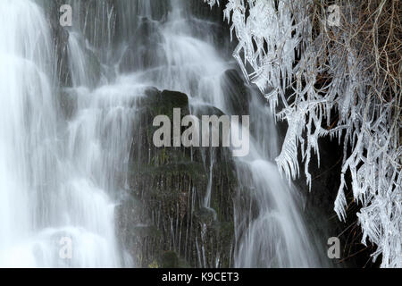 Congelati rami vicino ad una cascata in lumajo, leon, Spagna. Foto Stock