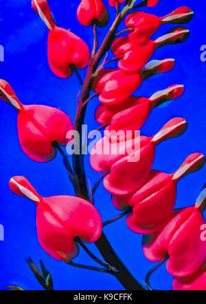 Il sanguinamento rosso cuore fiori, Lamprocapnos spectabilis (antico nome Dicentra spectabilis) isolato sul blu con le goccioline d'acqua. Foto manipolate i Foto Stock