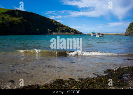 Il porto e la spiaggia di Port Isaac Cornovaglia Foto Stock