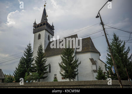 La foto ha preso per un viaggio sulle montagne dei Carpazi intorno al pop ivan. Foto Stock