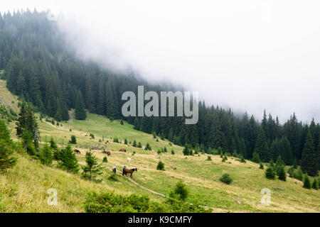 La foto ha preso per un viaggio sulle montagne dei Carpazi intorno al pop ivan. Foto Stock