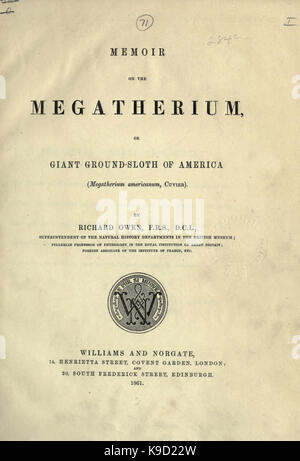 Ricordo il megatherium, o massa gigante bradipo d'America BHL31747781 Foto Stock