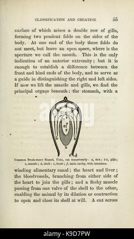 Metodi di studio della storia naturale (pagina 55) BHL31758498 Foto Stock