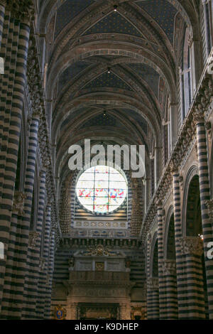 L'Italia, siena - 26 dicembre 2016: vista interna della Cattedrale metropolitana di santa maria assunta. navata e vetrata del duomo di Siena sulla de Foto Stock