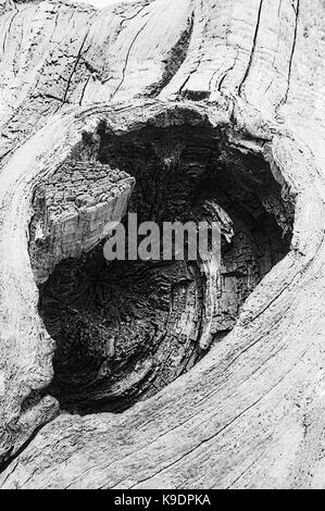 Dunham Massey, Altrincham, Cheshire Foto Stock