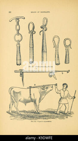 Manuale operativo di chirurgia veterinaria (pagina 60) BHL20475420 Foto Stock