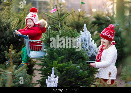 Famiglia selezionando albero di natale. bambini scelta di taglio fresco Norvegia albero di Natale all'aperto molto. bambini acquisto di regali alla fiera d'inverno. Un ragazzo e una ragazza shoppin Foto Stock