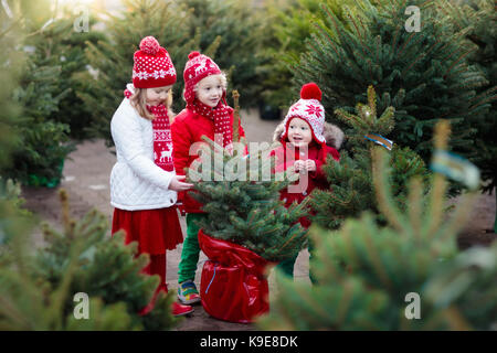 Famiglia selezionando albero di natale. bambini scelta di taglio fresco Norvegia albero di Natale all'aperto molto. bambini acquisto di regali alla fiera d'inverno. Un ragazzo e una ragazza shoppin Foto Stock