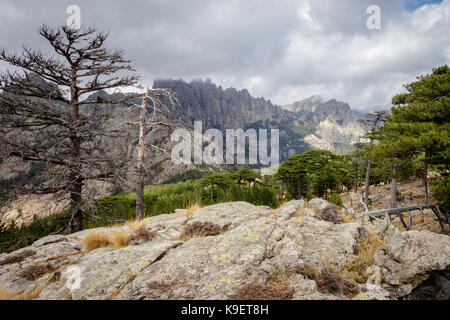 Le aiguilles de Bavella sono i picchi rocciosi di granito rosso che dominano la collina dello stesso nome. il nome significa aghi di Bavella. Foto Stock