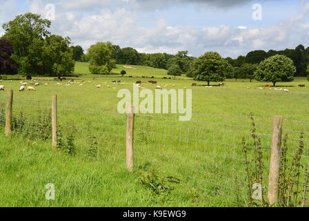 Viste della campagna della campagna gallese Foto Stock
