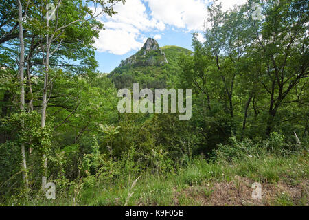 In seguito le gole del Tarn Foto Stock