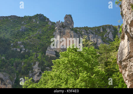 In seguito le gole del Tarn Foto Stock