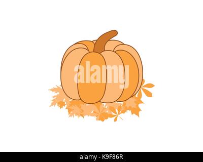 La zucca su foglie isolati su sfondo bianco. disegnati a mano la zucca, cartoon. illustrazione vettoriale Illustrazione Vettoriale