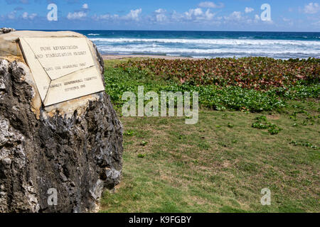 Barbados. Barclay Park, Oceano Atlantico lato dell'isola. Mare uva utilizzata per la spiaggia di controllo di erosione. Foto Stock