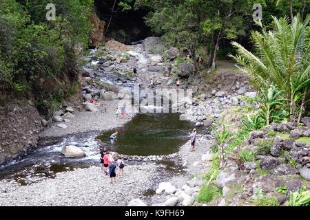 Iao stream, iao Valley State Park, wailuku, Maui, Hawaii Foto Stock