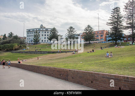 Sydney,NSW, Australia-novembre 21,2016: foreshore area a bondi beach con persone rilassante con norfolk di alberi di pino e di edifici a Sydney in Australia Foto Stock