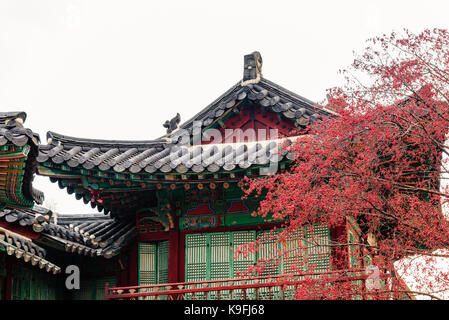 Primo piano di un edificio all interno del palazzo di Changdeokgung a Seul Foto Stock