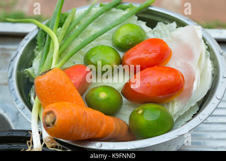 Verdure (welsh cipolle, carote, pomodori, cavolo cinese) e frutta (limoni), misti, fresco lavato nel recipiente di metallo sul lavandino Foto Stock