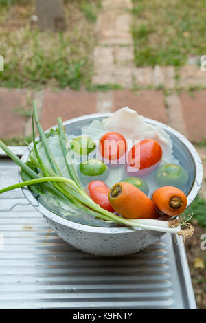 Verdure (welsh cipolle, carote, pomodori, cavolo cinese) e frutta (limoni), misti, fresco lavato nel recipiente di metallo sul lavandino Foto Stock