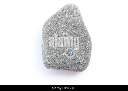 Antica pietra calcarea roccia fossile con crinoidi, briozoi pelecypods e nautiloidi da Upper Ordovician periodo circa 445 milioni di anni fa. La roccia è c Foto Stock