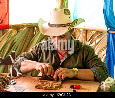 Coltivatore di tabacco mano rotolare foglie di tabacco per fare un sigaro cubano su una piantagione di tabacco, Vinales Valley, Pinar del Rio, Cuba, Caraibi Foto Stock