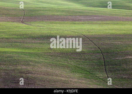 Campi coltivati in Toscana (Italia), con bel verde e marrone Foto Stock