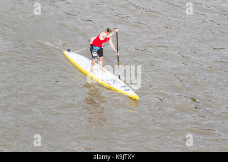 Putney Londra, Regno Unito. 23 Sep, 2017. Putney Canoa Club prendere parte in una racchetta gara di imbarco sul Fiume Tamigi in una calda giornata d'autunno.rematori remato 20 km da Putney a Westminster e indietro. Credito: amer ghazzal/Alamy Live News Foto Stock