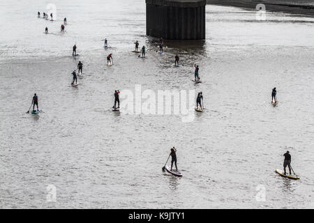 Putney Londra, Regno Unito. 23 Sep, 2017. Putney Canoa Club prendere parte in una racchetta gara di imbarco sul Fiume Tamigi in una calda giornata d'autunno.rematori remato 20 km da Putney a Westminster e indietro. Credito: amer ghazzal/Alamy Live News Foto Stock