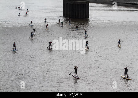 Putney Londra, Regno Unito. 23 Sep, 2017. Putney Canoa Club prendere parte in una racchetta gara di imbarco sul Fiume Tamigi in una calda giornata d'autunno.rematori remato 20 km da Putney a Westminster e indietro. Credito: amer ghazzal/Alamy Live News Foto Stock