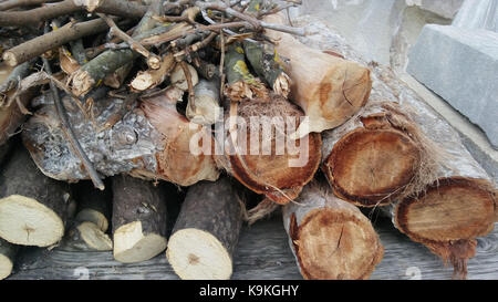 Woodpile di legna da ardere è accumulata sull'erba nel cortile della casa colonica. L'effetto di pittura a olio applicato. Foto Stock