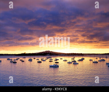 La Nuova Zelanda. Isola del nord. Auckland. Rangitoto. Devonport. La vista del porto ith yacht ormeggiati a sunrise. Foto Stock