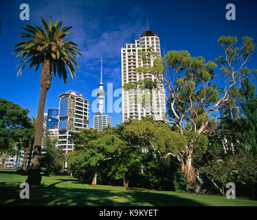 Nuova Zelanda Auckland. basso angolo vista della città di edifici da Myers Park. Foto Stock