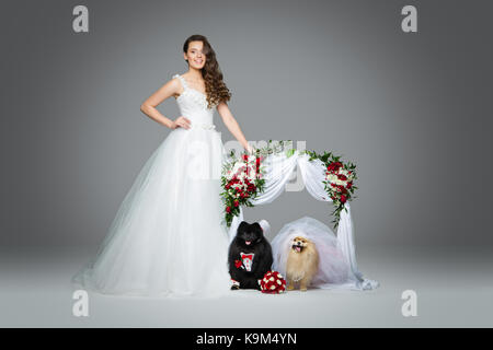 Sposa bella giovane donna in abito bianco in piedi con spitz sposi sotto arco di fiori su sfondo grigio. cane sposa in gonna e velo. groo Foto Stock