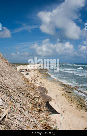 Vista dal punto di vista situato nel Freedom in Paradise Reggae Beach Bar and Grill sull'isola di Cozumel, Messico. Foto Stock