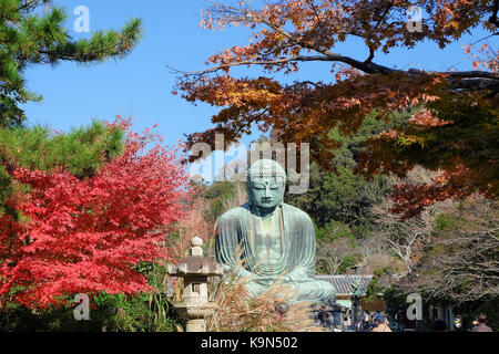 Statua di Buddha Amitabha (daibutsu) che si trova presso il tempio kotokuin a Kamakura, Giappone nella stagione autunnale Foto Stock