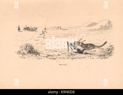 I record di sport in India meridionale BHL47191108 Foto Stock