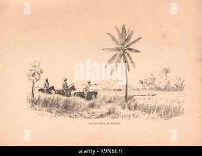 I record di sport in India meridionale BHL47191127 Foto Stock