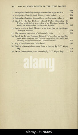 Paleontologico memorie e note di H. Falconer, con cenni biografici dell'autore (pagina xx) BHL33369176 Foto Stock