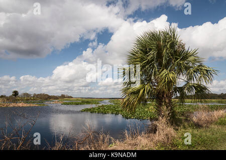 La Palude Emeralda Area di Conservazione in Leesburg, Florida Foto Stock