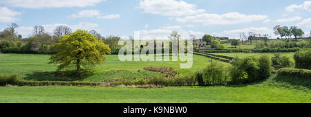 Panorama su campi a beauvale priory nottinghamshire Foto Stock