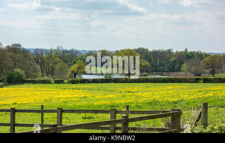 Panorama su campi a beauvale priory nottinghamshire Foto Stock