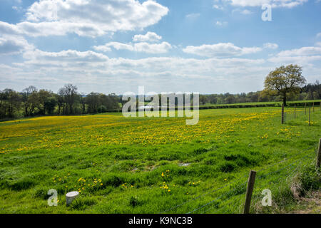 Panorama su campi a beauvale priory nottinghamshire Foto Stock