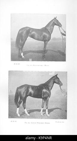 Punti di cavallo (pagina 162a) BHL42451661 Foto Stock