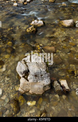 Risorse idriche, pesca, concetto Natura. fiume poco profondo con calme acque trasparenti si muove lentamente e pigro, pietre e su di essa è una copertura da Moss e alghe nel tempo Foto Stock