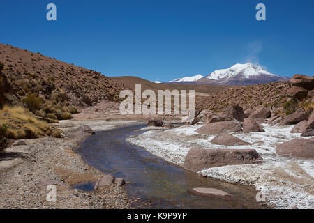 Percorso serpeggiante del fiume chuba sull'altiplano del nord del Cile in lauca parco nazionale. Snow capped picco del vulcano guallatiri nella distanza. Foto Stock