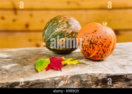 La raccolta, caduta, concetto di halloween. sul tavolo di solido tronco di albero ci sono due piccole zucche mature di brillanti colori arancio e verde nelle vicinanze con foglie di autunno sfumature Foto Stock