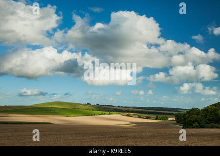 Pomeriggio estivo sul South Downs nel West Sussex. Foto Stock