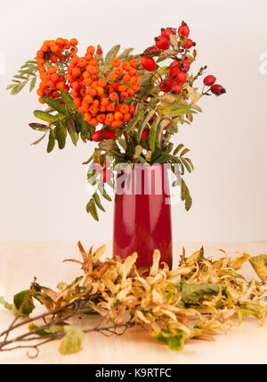 Decorazione d'autunno in viola Vaso composto da rowanberry e selvatica rosa canina Foto Stock