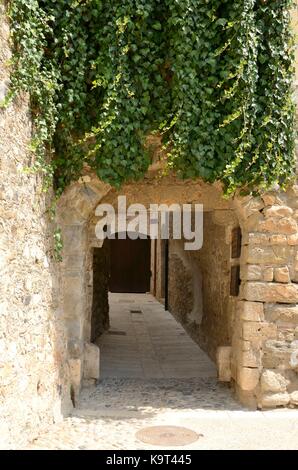 Ivy su parete in corrispondenza di un arco porta in un vicolo di besalu, una cittadina della comarca della Garrotxa, in Girona, in Catalogna, Spagna. Foto Stock