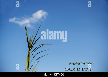 Festa ebraica felice Sukkot biglietto di auguri Foto Stock